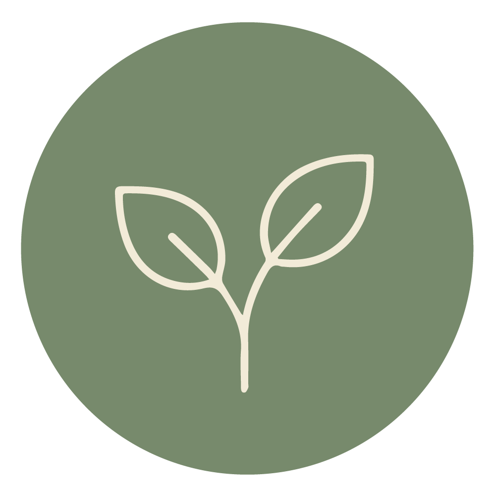 Experiment icon — a growing sprout, representing new ways of leading